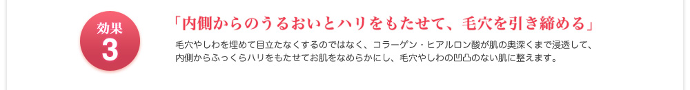 内側からのうるおいとハリをもたせて、毛穴を引き締める