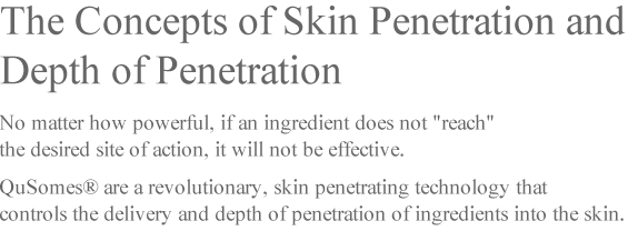 No matter how great an ingredient is, if it does not reach, it does not work. QuSome® is penetration technology that controls the delivery depth of ingredients into the skin. 