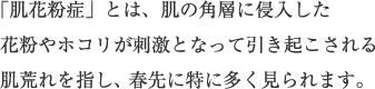 「肌花粉症」とは、肌の角層に侵入した花粉やホコリが刺激となって引き起こされる肌荒れを指し、春先に特に多く見られます。