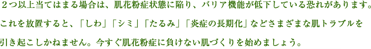 2つ以上当てはまる場合は、肌が花粉症状態に陥り、バリア機能が低下している恐れがあります。これを放置すると、「しわ」「シミ」「たるみ」「炎症の長期化」などさまざまな肌トラブルを引き起こしかねません。今すぐ肌花粉症に負けない肌づくりを始めましょう。