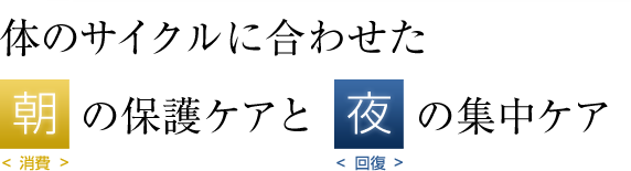 体のサイクルに合わせた朝の保護ケアと夜の集中ケア