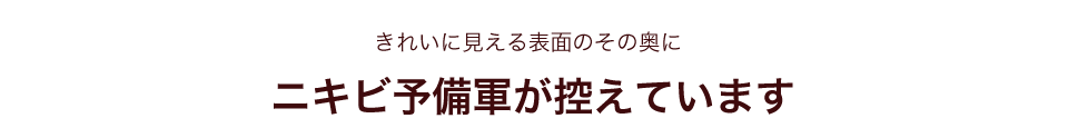 きれいに見える表面のその奥にニキビ予備軍が控えています