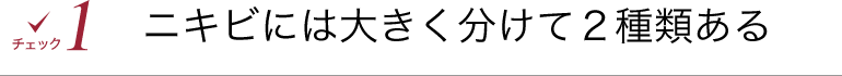 ニキビには大きく分けて2種類ある